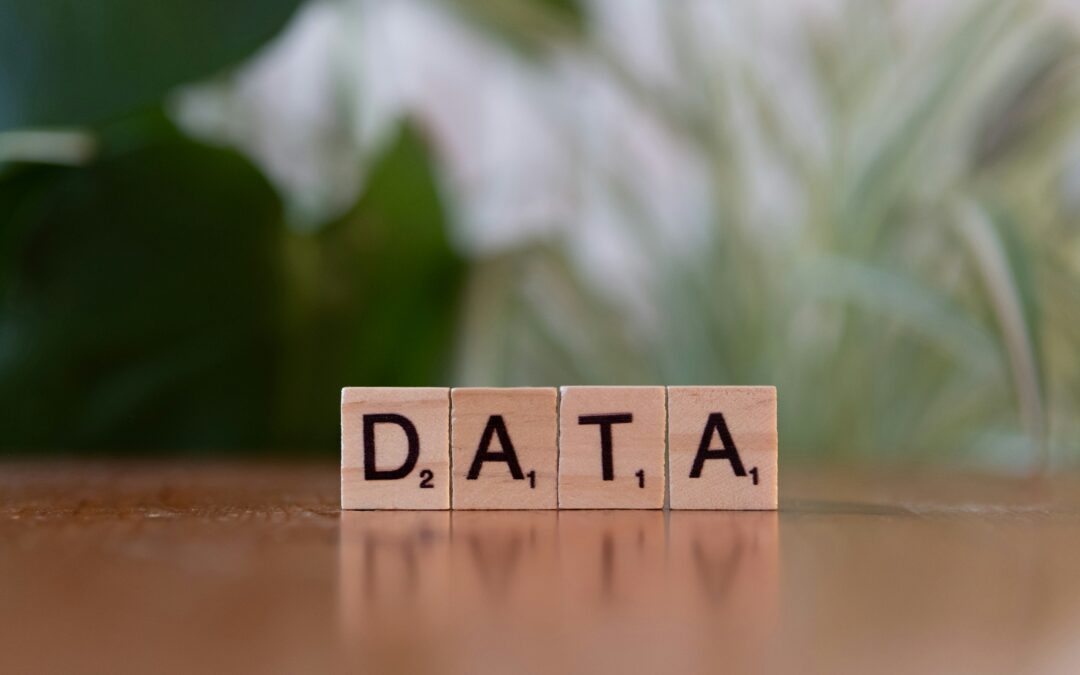 Feature Focus: PRODA Data Governance